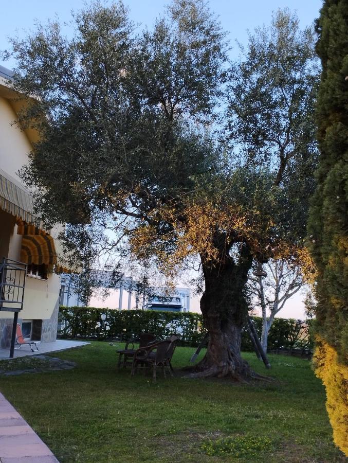 Magnolia House Apartment Scanzano Jonico Exterior photo